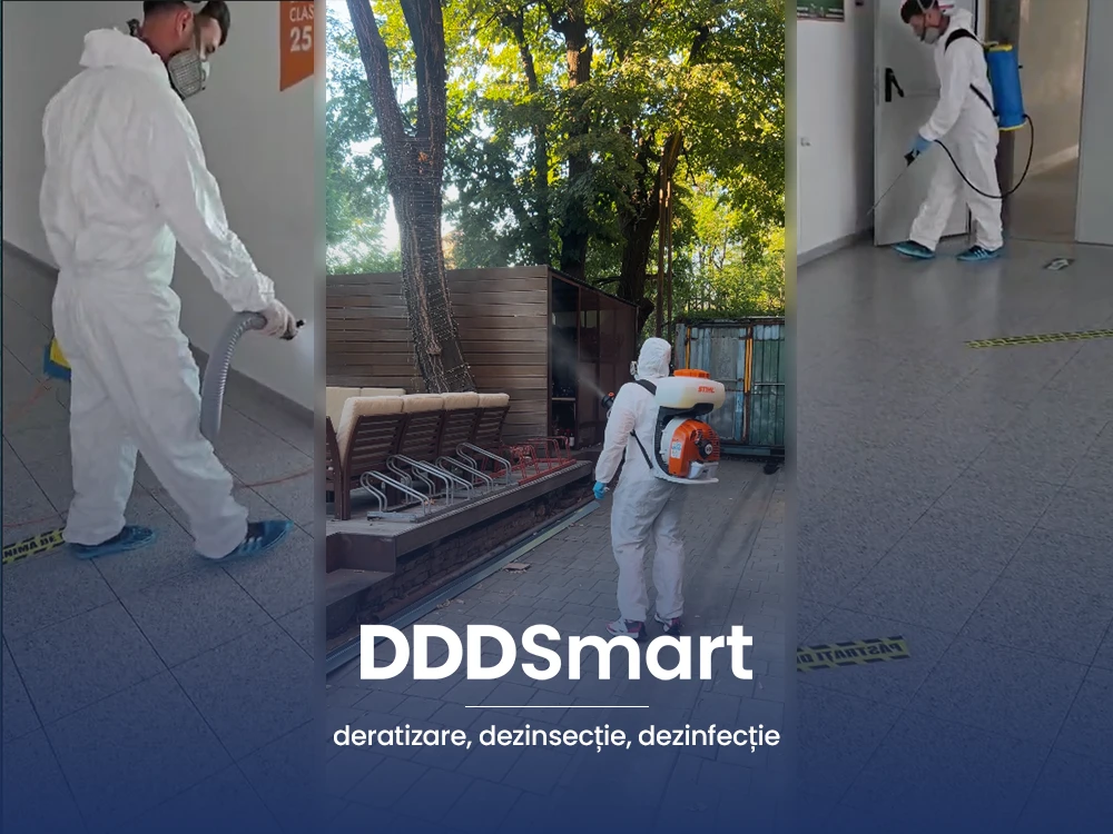Echipa DDD Smart în intervenție de deratizare și dezinsecție în București