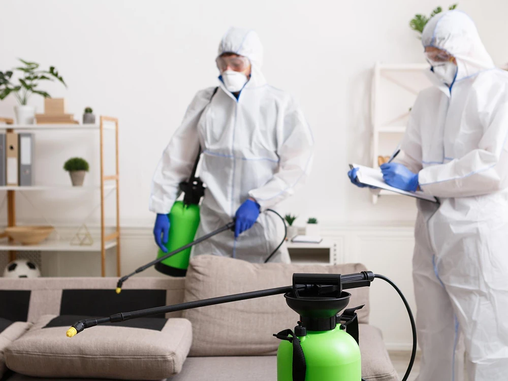 Operator DDD Smart aplicând un tratament cu produse biocide avizate