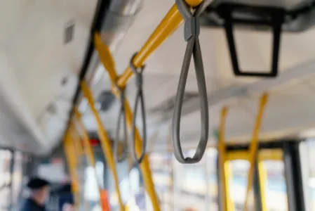 Imagine pentru articolul: Ploșnițe în transportul public: ce risc real există și cum eviți să le aduci acasă