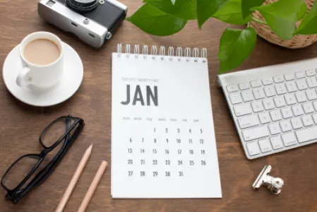 Imagine pentru articolul: Calendar DDD pentru București: în ce lună faci deratizarea și dezinsecția