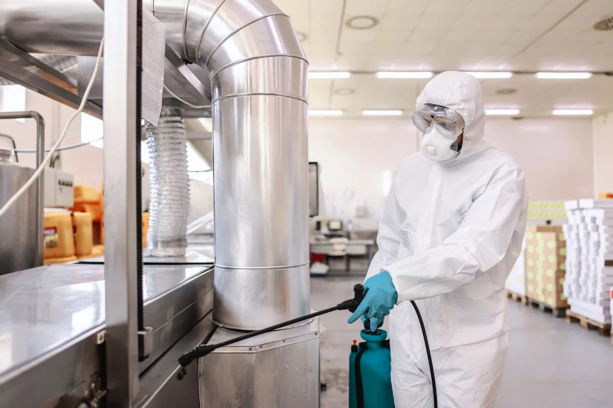 DDD și HACCP în producția alimentară: ghid complet