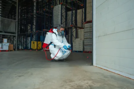 Imagine pentru articolul: Deratizare depozit și hală logistică în București